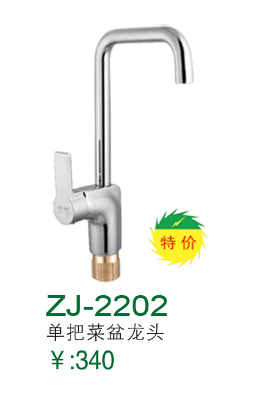 ZJ-2202