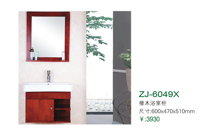 ZJ-6049X