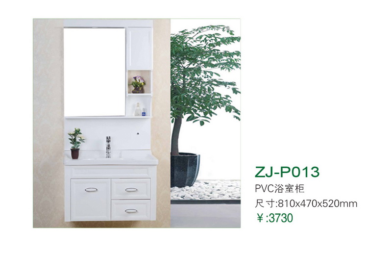 ZJ-P013