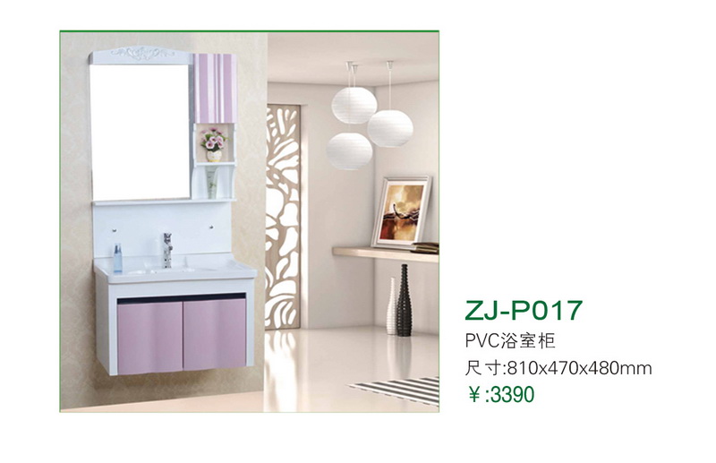 ZJ-P017