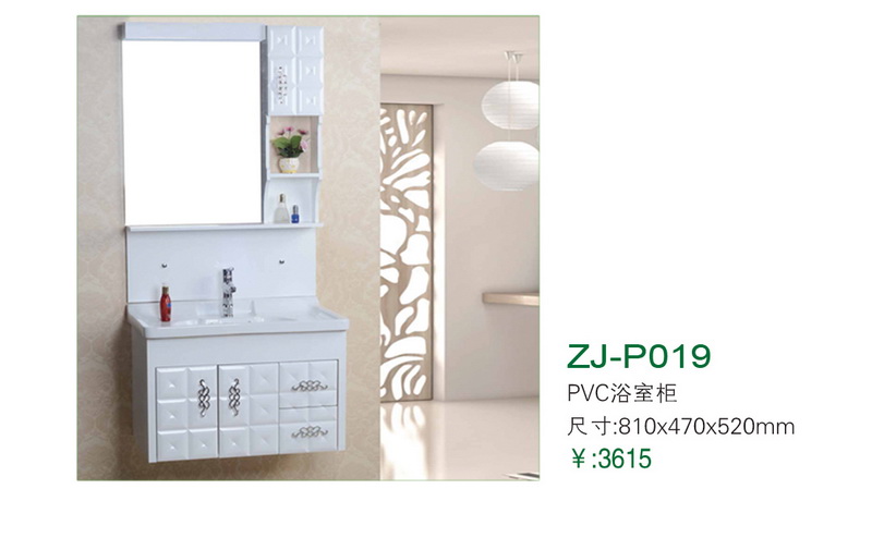 ZJ-P019