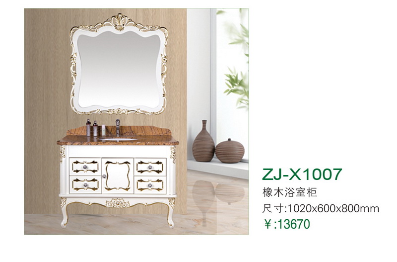 ZJ-X1007