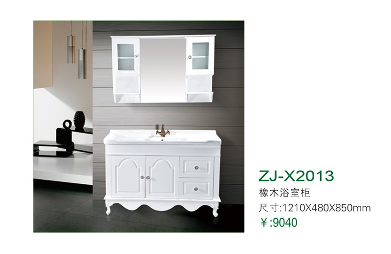 ZJ-X2013